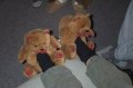 Patrick's bear slippers