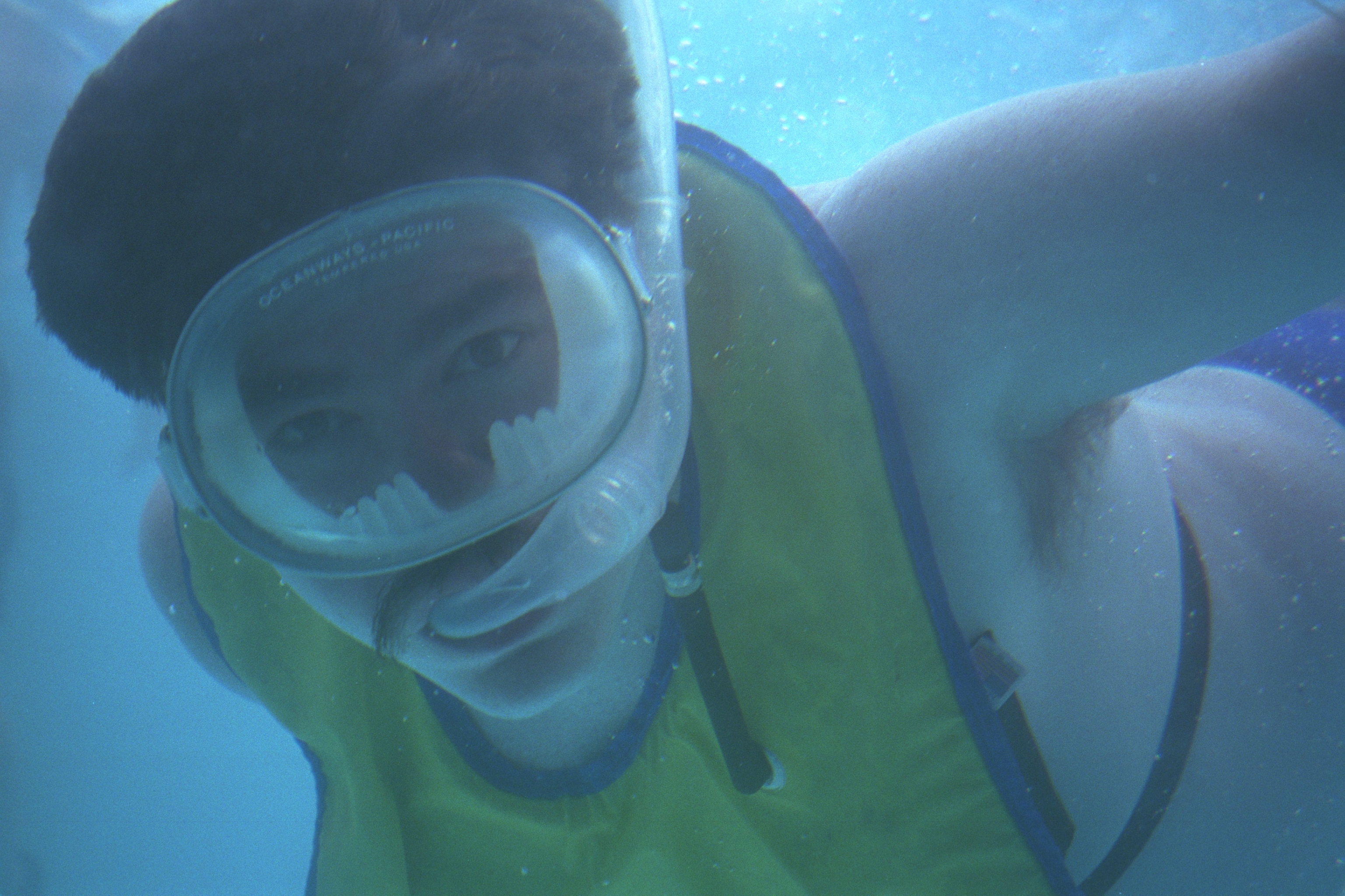 Bigmacbear underwater in a pool wearing snorkeling gear